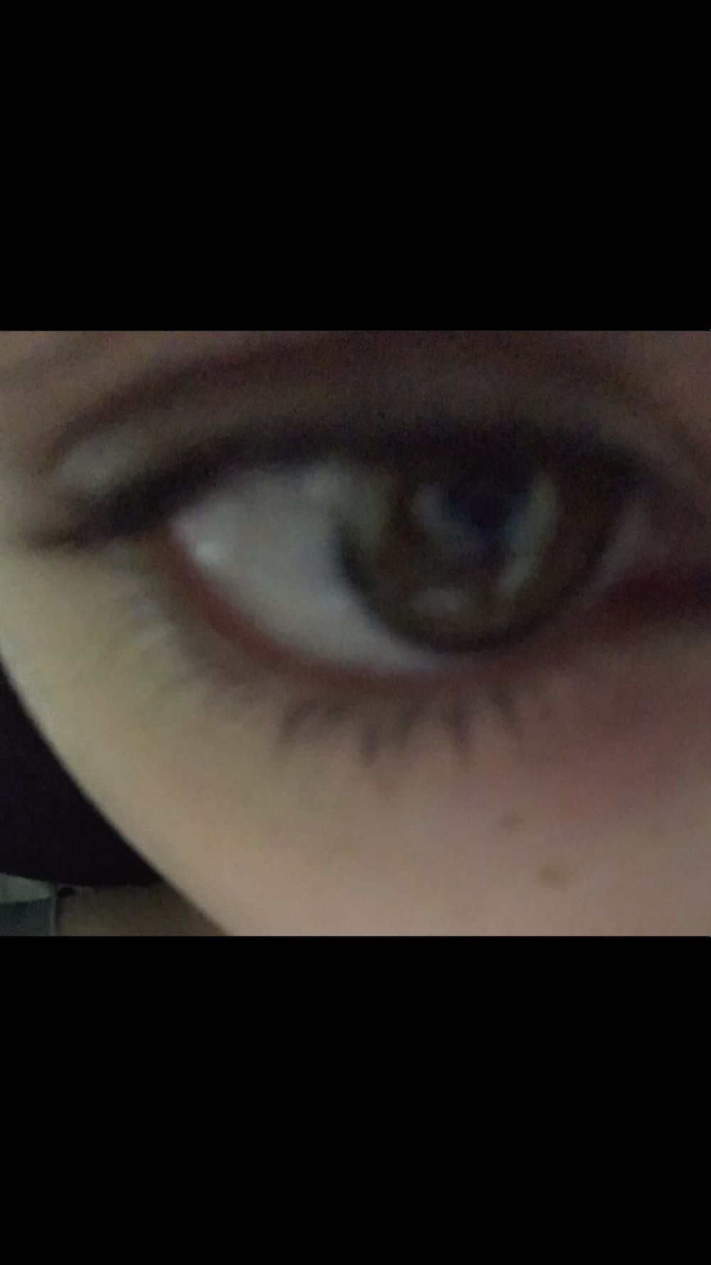 prettygirlarialove OnlyFans profile picture
