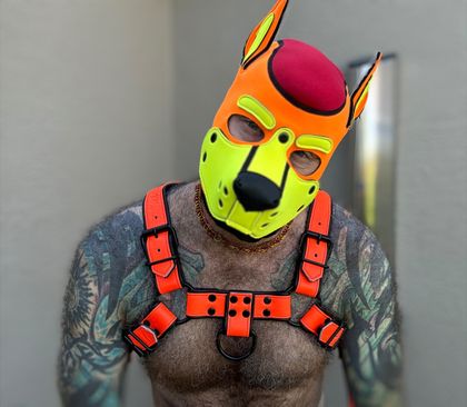 powerpup69 OnlyFans picture
