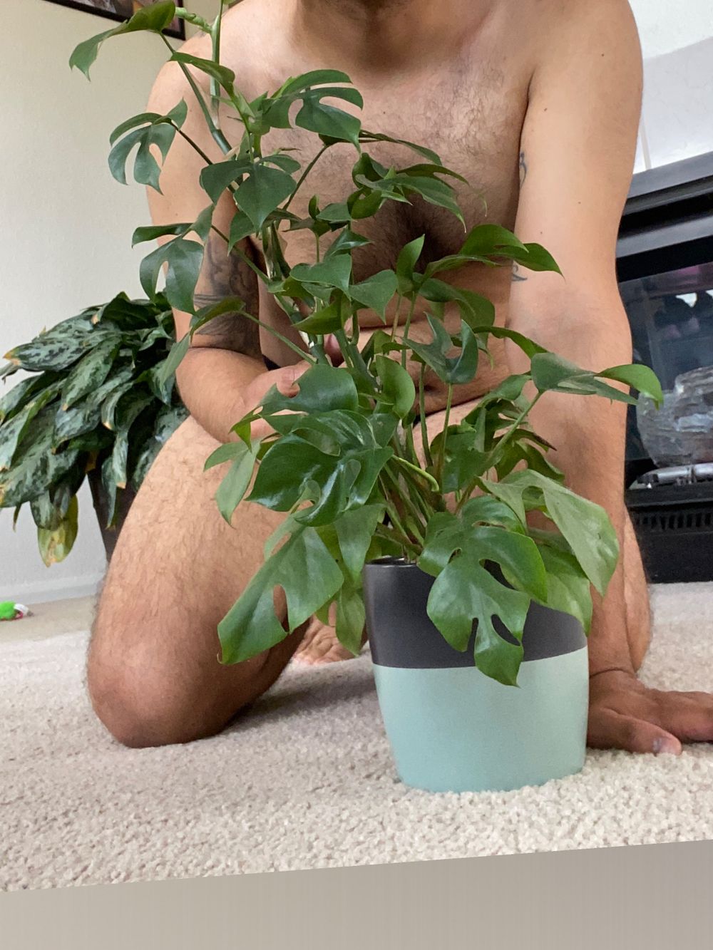 iplantsins OnlyFans profile picture