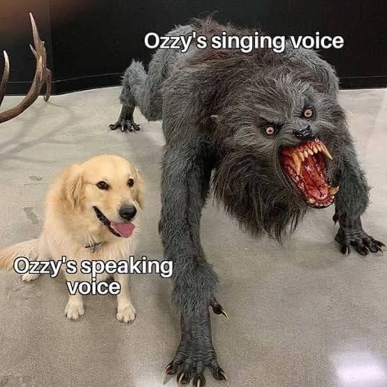madmanozzy OnlyFans profile picture