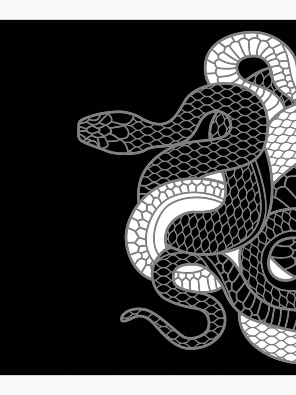 thebrownsnake OnlyFans profile picture