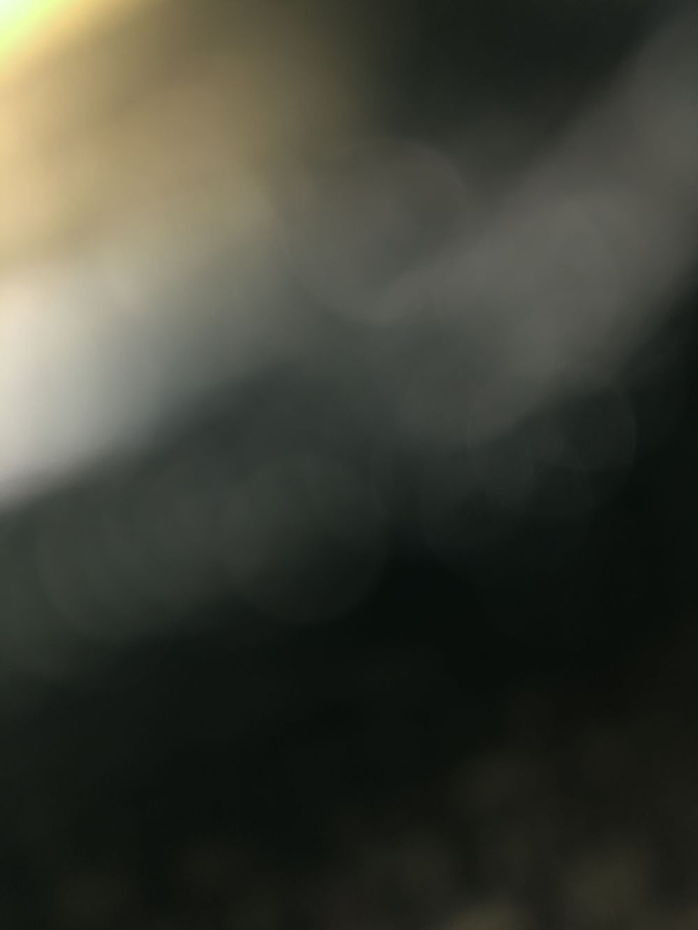 epillb000 OnlyFans profile picture