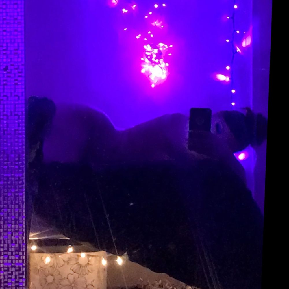 busteepawg01 OnlyFans profile picture