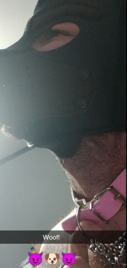 babybearpup OnlyFans picture