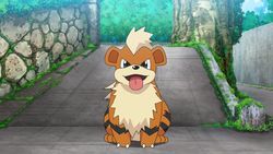 scrubbygrowlithe OnlyFans profile picture