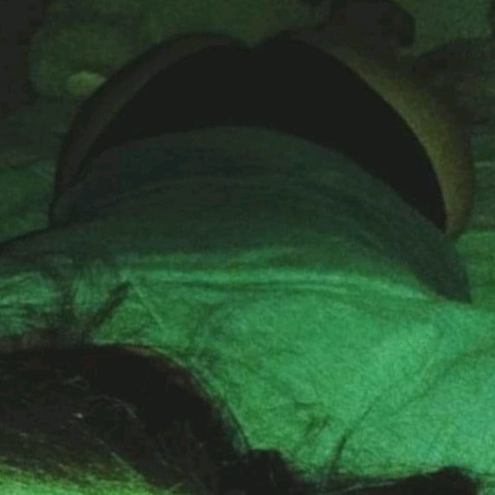 umoongj69 OnlyFans profile picture