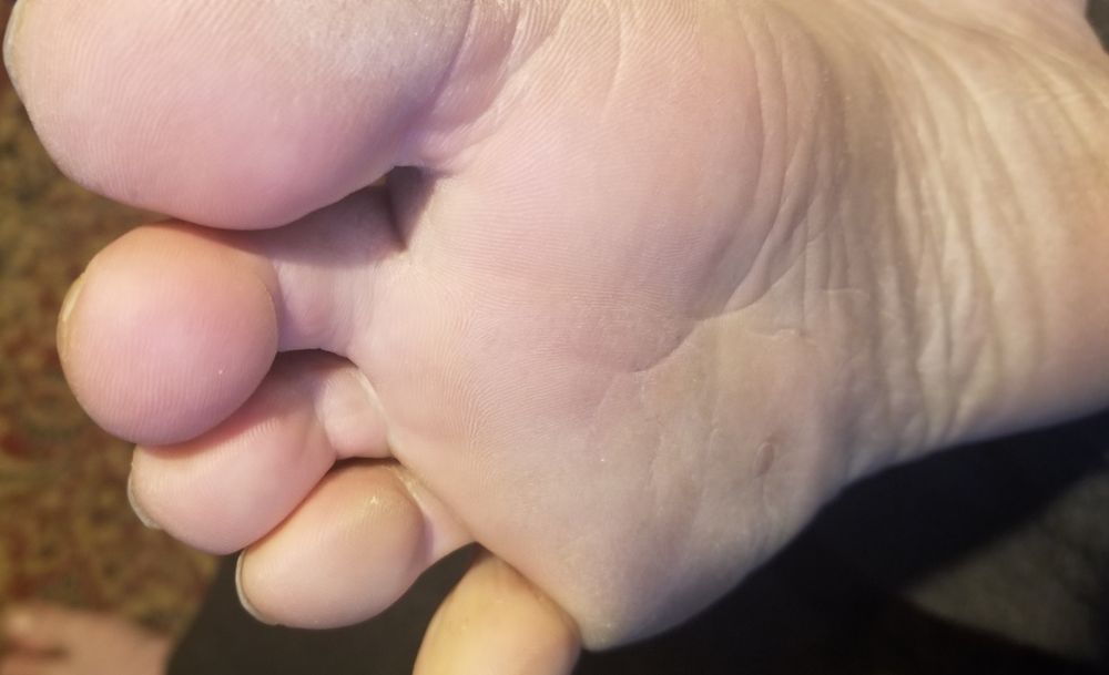 meesterfeet OnlyFans profile picture