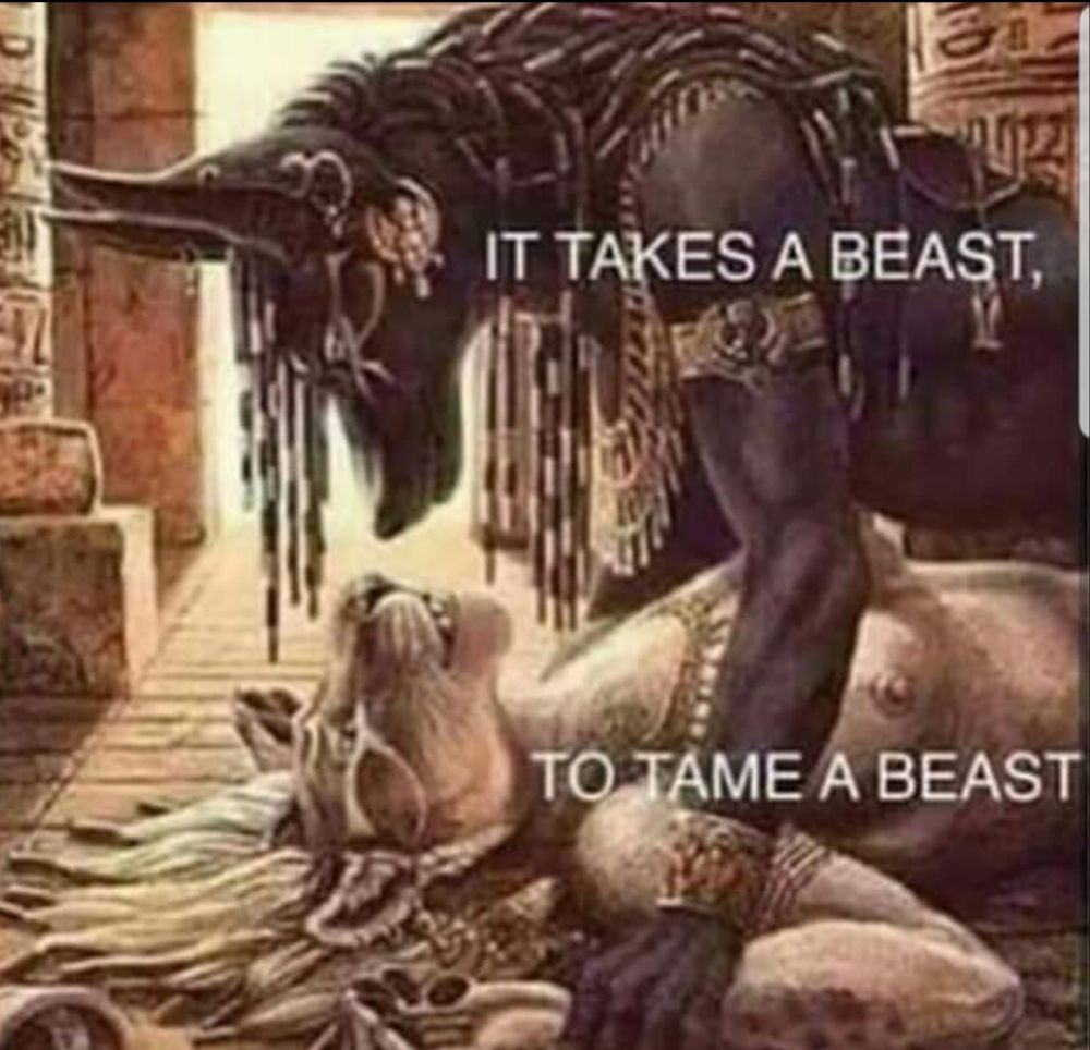 fatboymagic OnlyFans profile picture