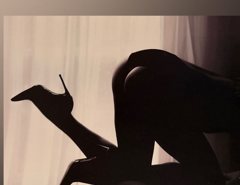 grlnxtdr4 OnlyFans profile picture