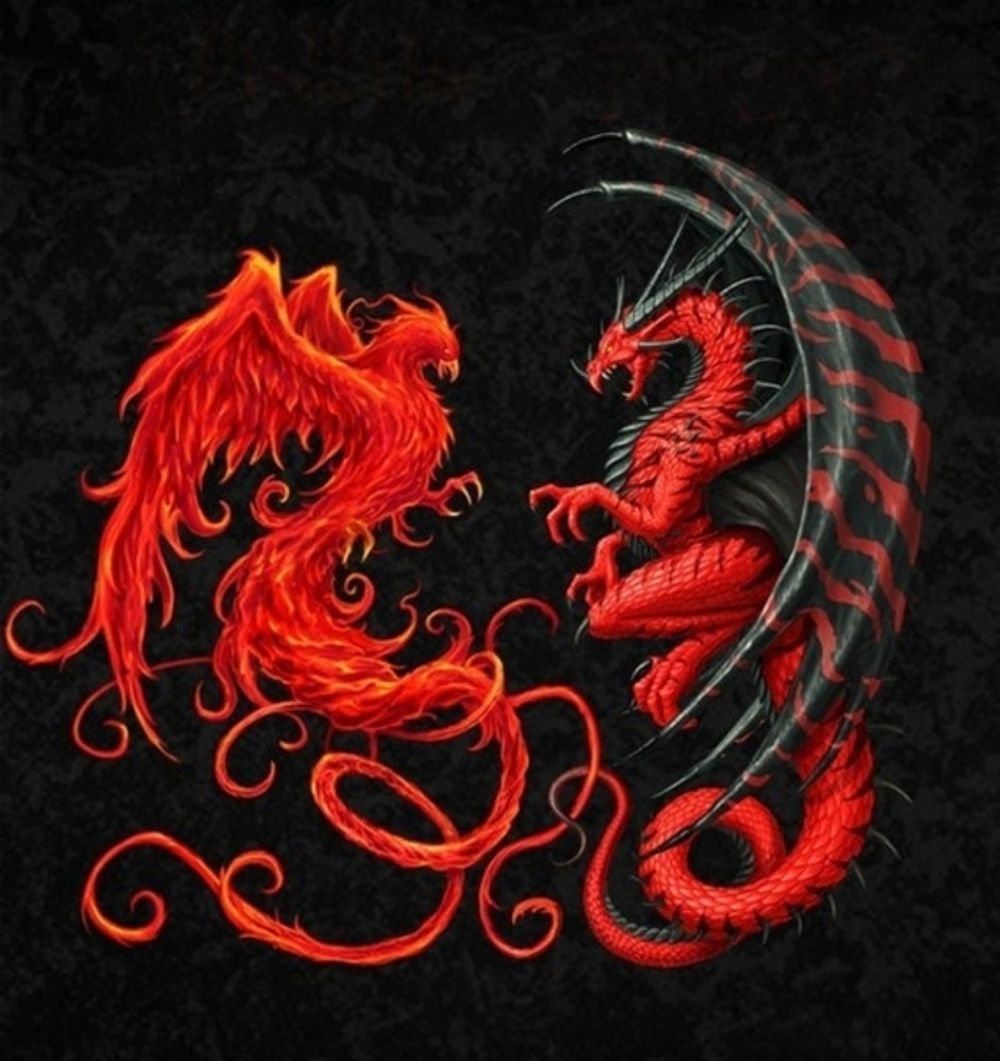 dragonsgurl OnlyFans profile picture