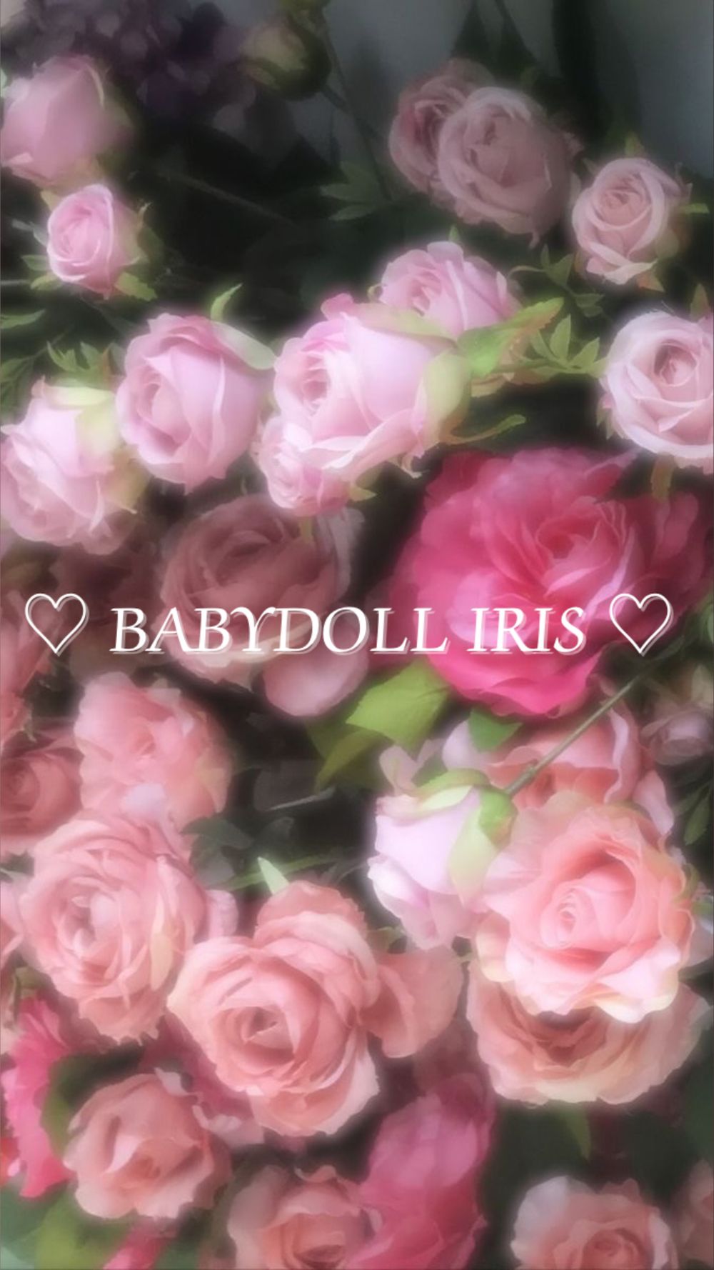 babydolliris OnlyFans profile picture