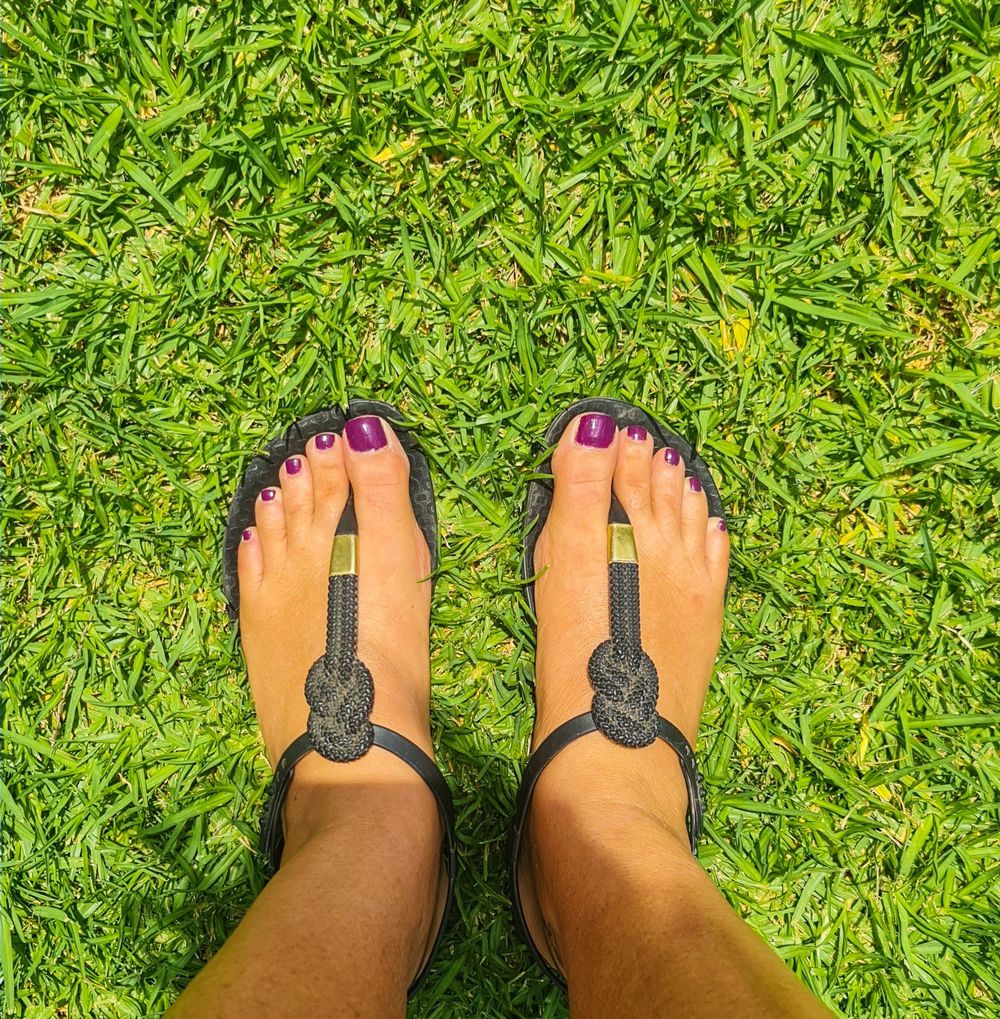 canarysmallfeet OnlyFans profile picture