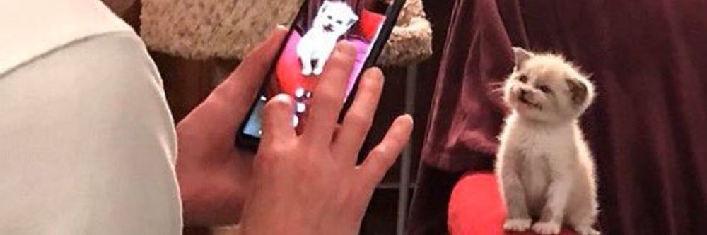 angelvercity OnlyFans profile picture
