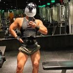g4hhhh OnlyFans - Free Trial - Photos - Socials | FansMetrics.com