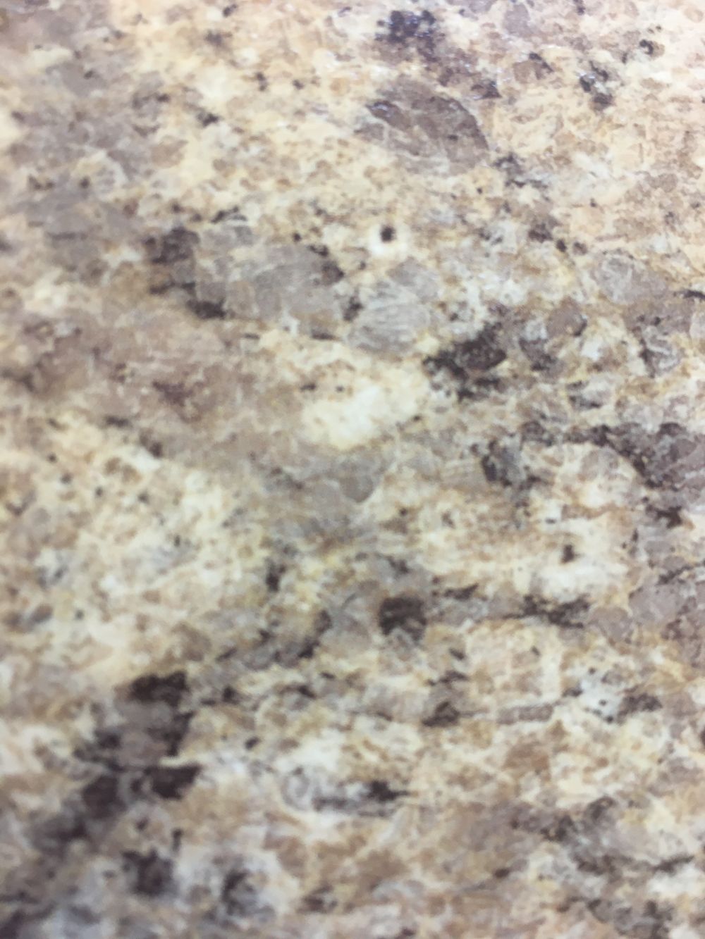 mississippi-mandingo OnlyFans - Free Trial - XXX Photos | FansMetrics.com