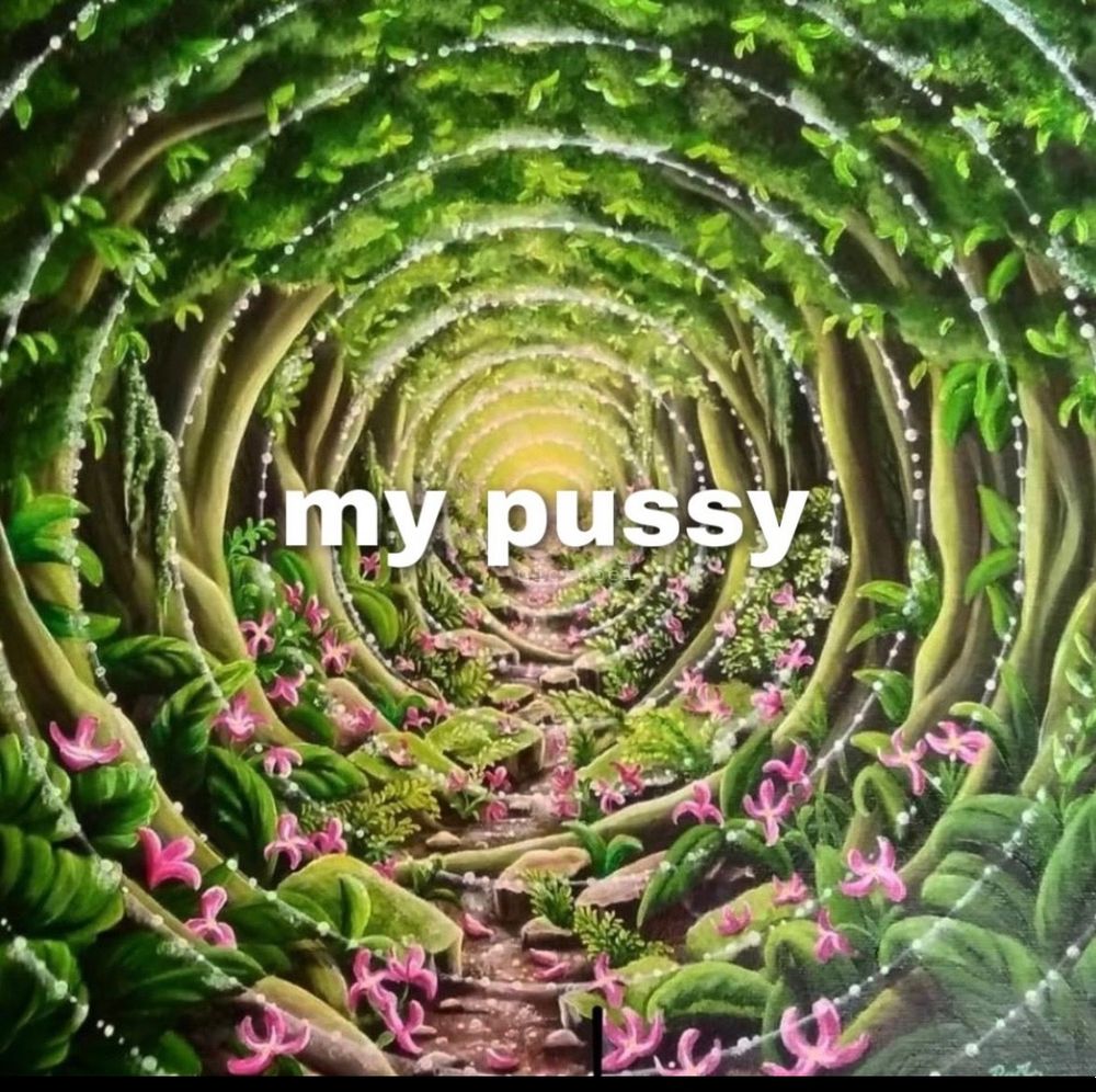 lemonhazed OnlyFans profile picture