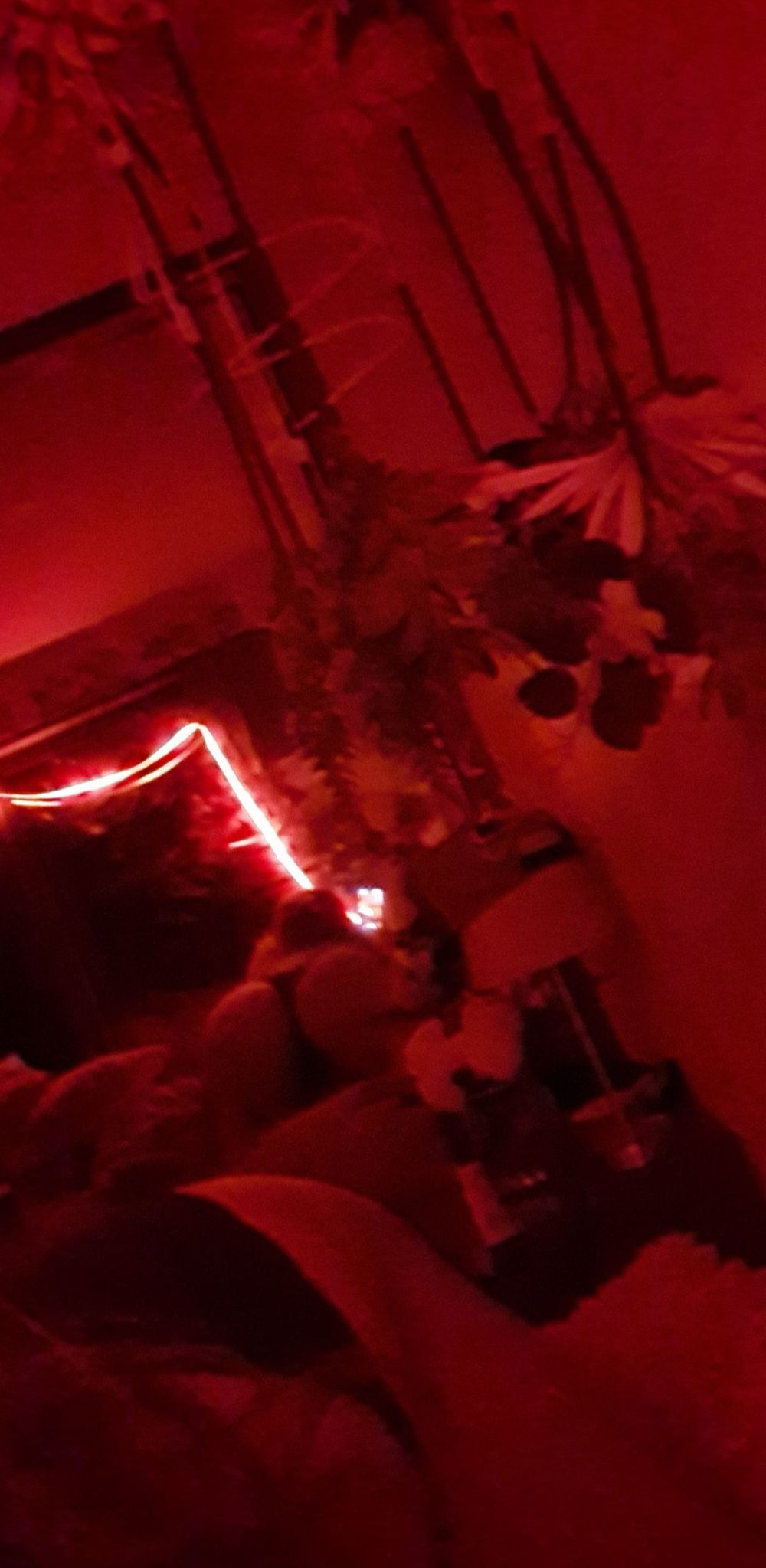 u168343488 OnlyFans profile picture