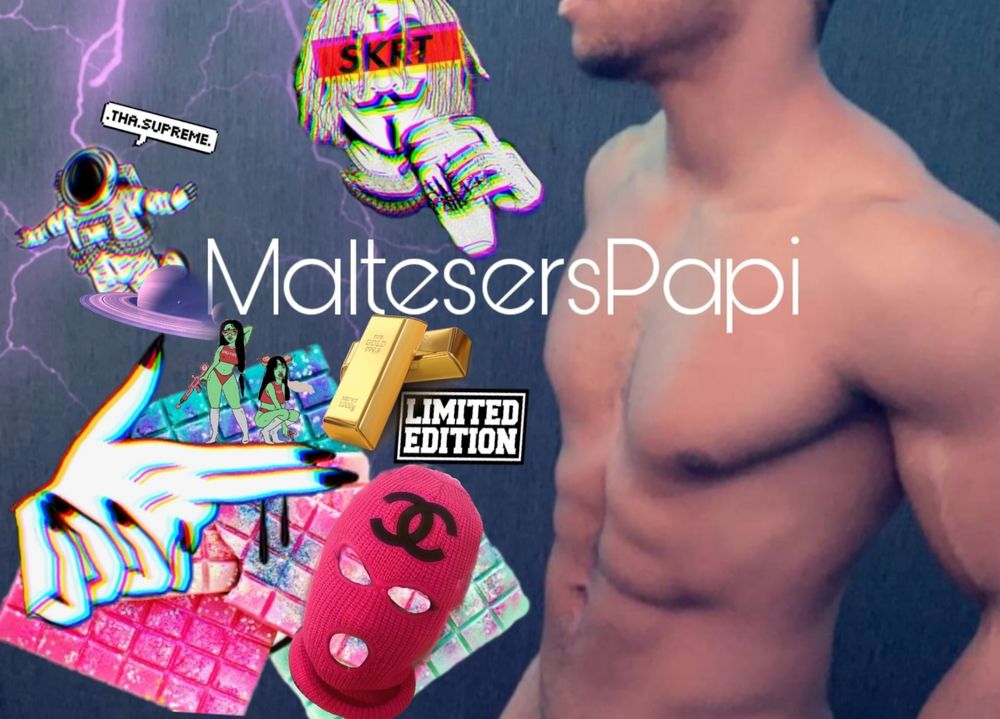 malteserspapii OnlyFans profile picture