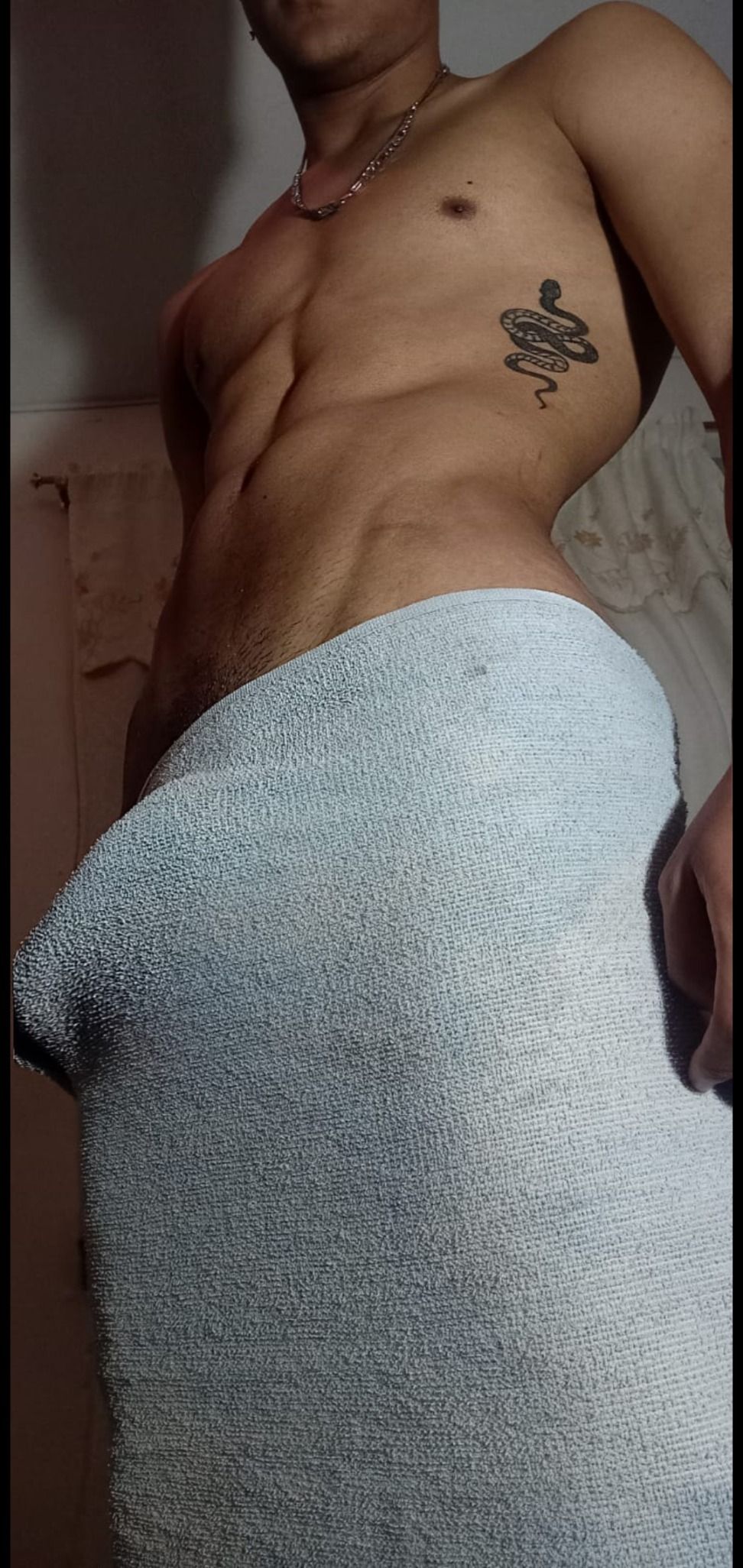 alecto_dl OnlyFans profile picture