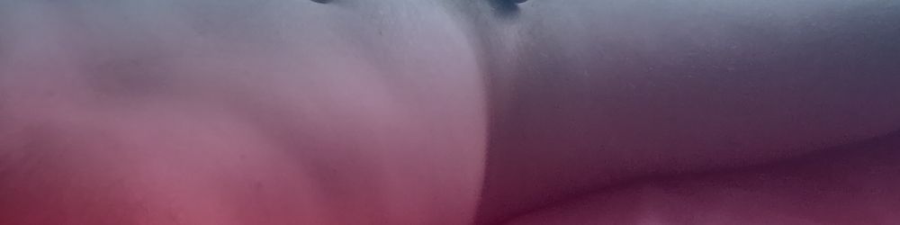 u35577131 OnlyFans profile picture