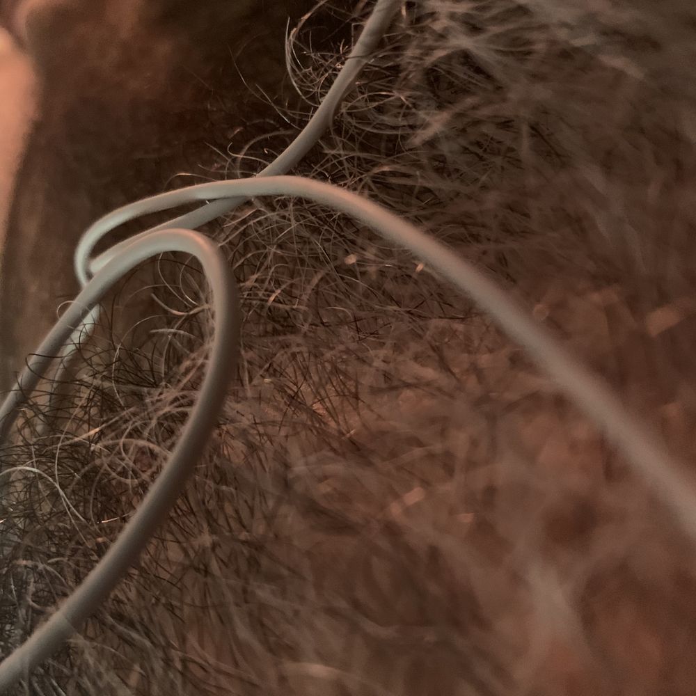 hairytonkas OnlyFans profile picture
