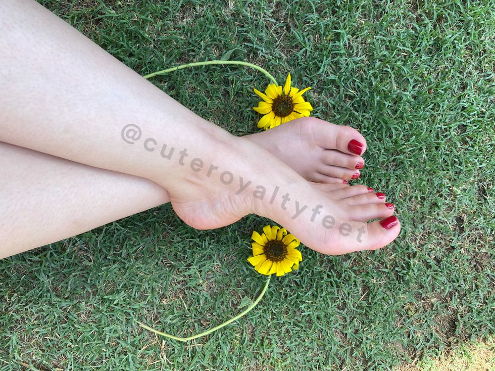 cuteroyaltyfeet OnlyFans profile picture