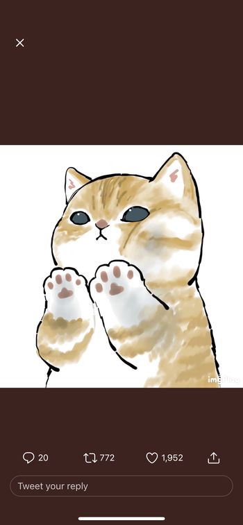 Kitty