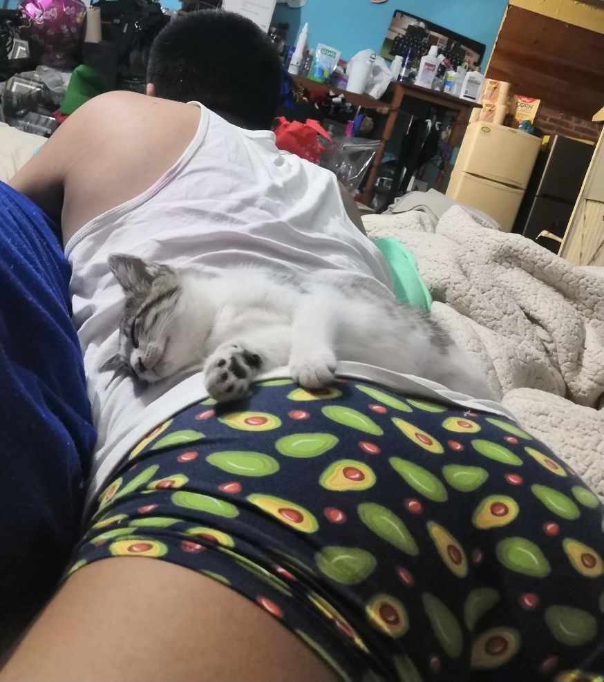 evodio OnlyFans profile picture
