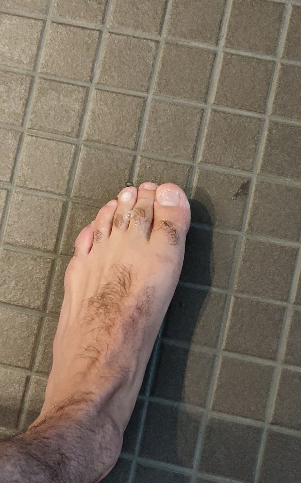 arabfootdom OnlyFans profile picture