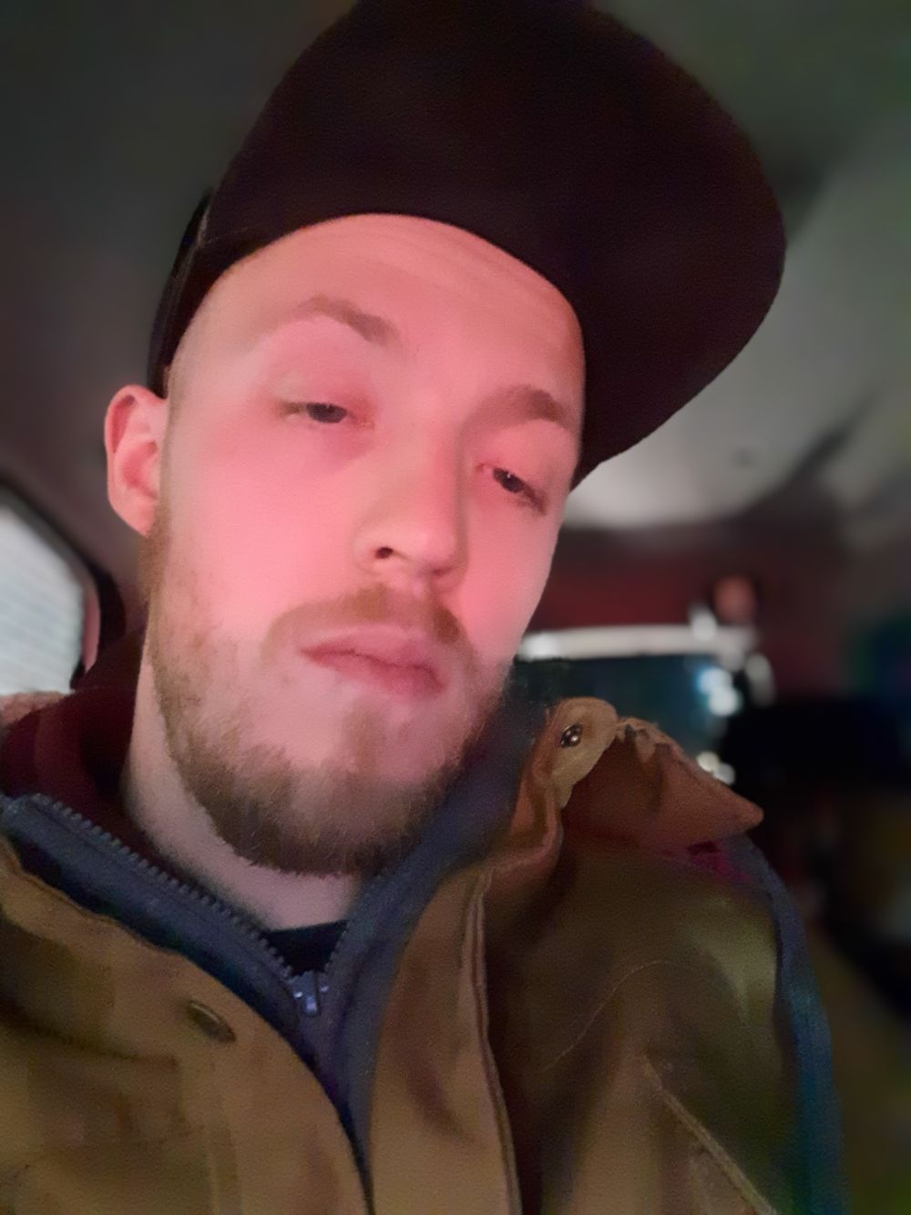 shaggybigdick OnlyFans profile picture
