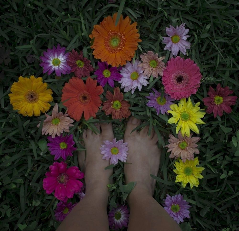 annabelfeet0310 OnlyFans profile picture
