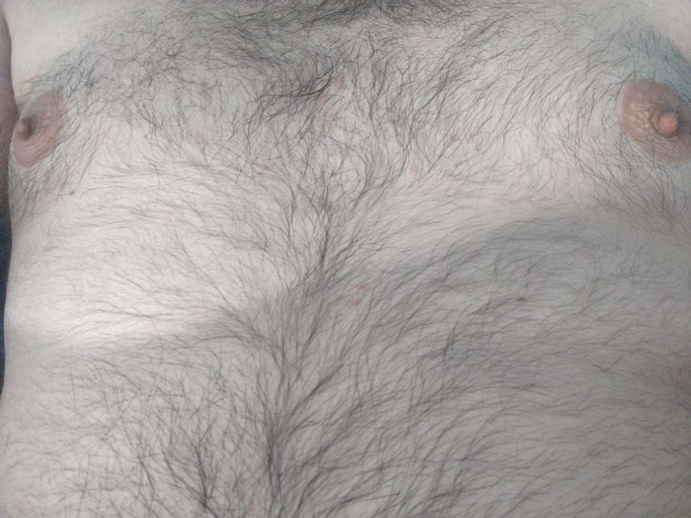 college_bear OnlyFans profile picture
