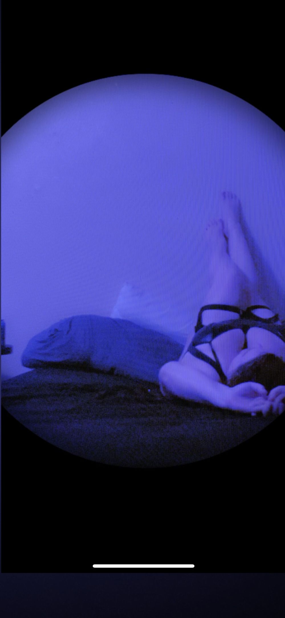 katherinex0x OnlyFans profile picture