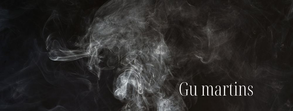 gusmartins OnlyFans profile picture