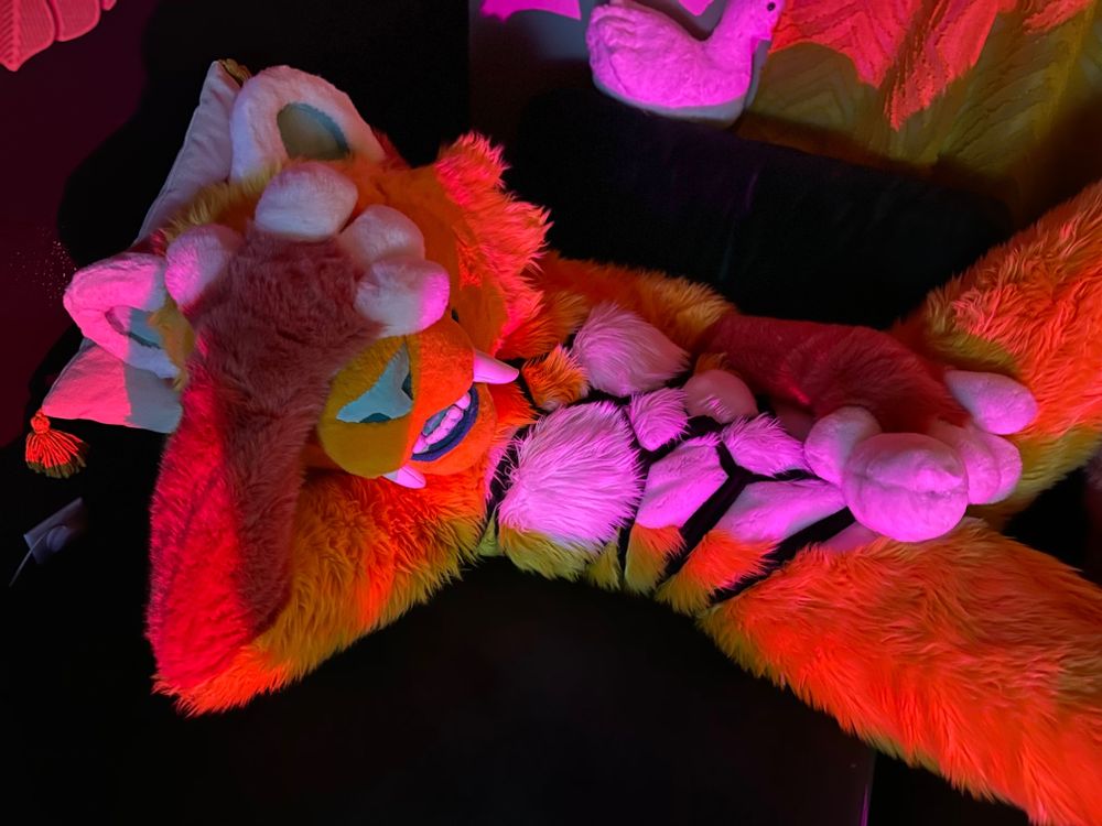 carnalcove OnlyFans profile picture