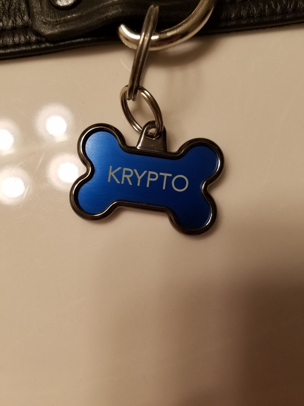 pupkryptowi OnlyFans profile picture