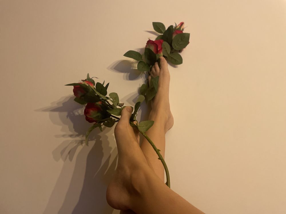 u181469373 OnlyFans profile picture