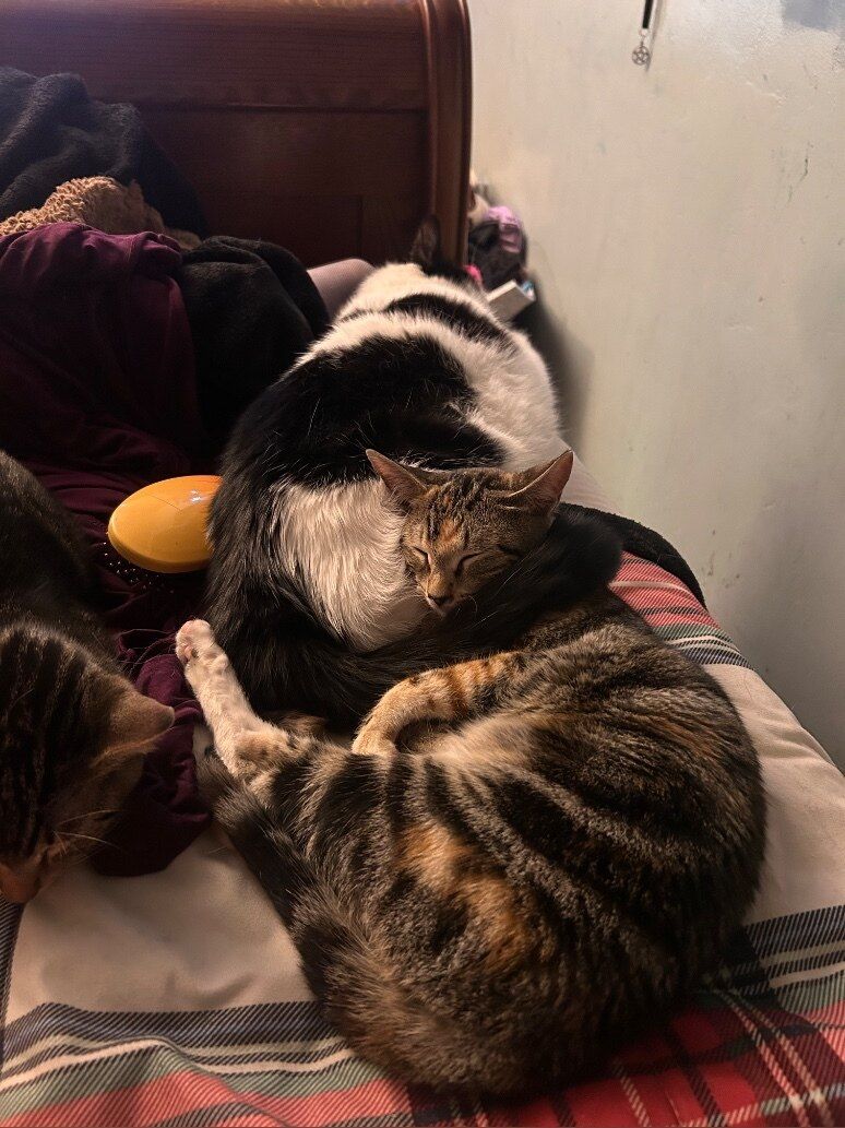 thestrugglingcouple OnlyFans profile picture
