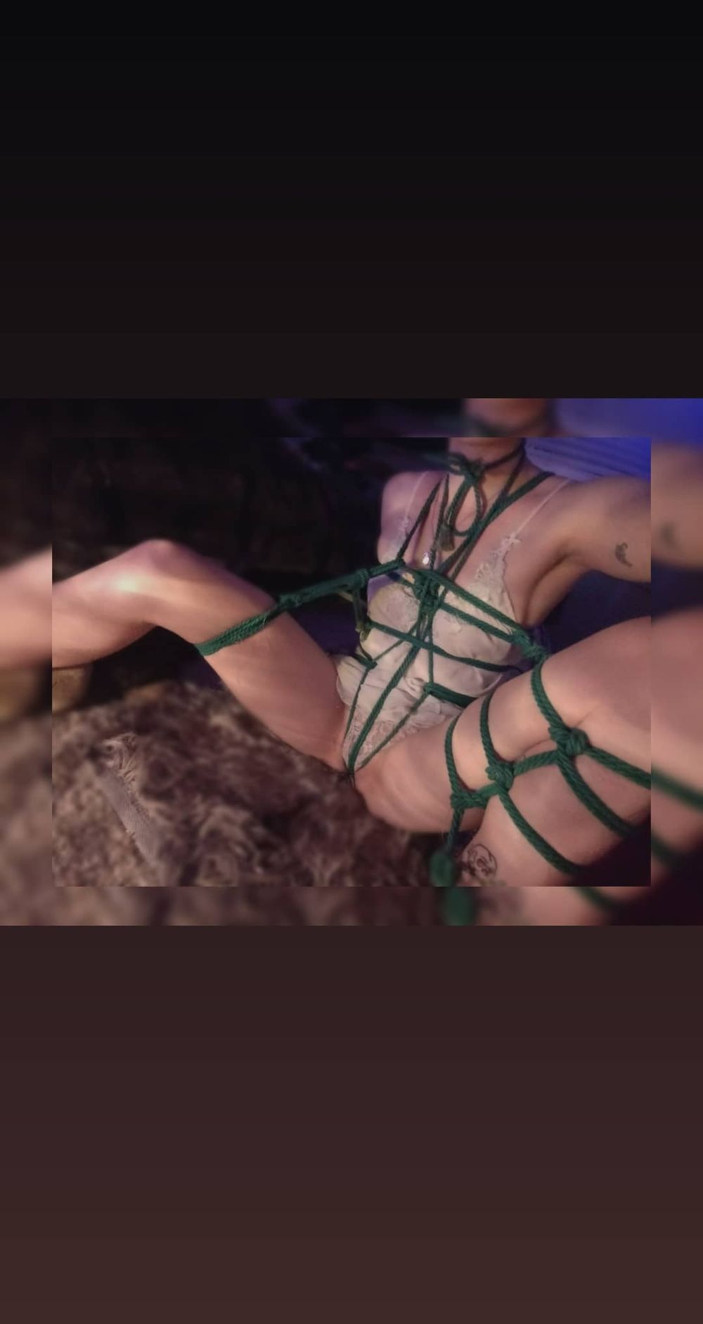 paleprogress OnlyFans profile picture