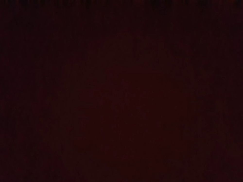 bradleychang OnlyFans profile picture