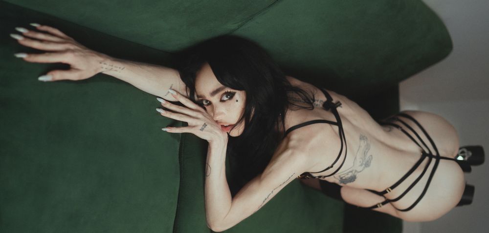 taylorzahn OnlyFans profile picture