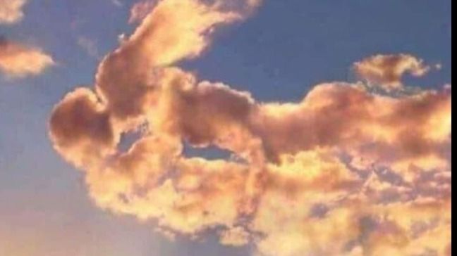 atabeeerkkk OnlyFans profile picture