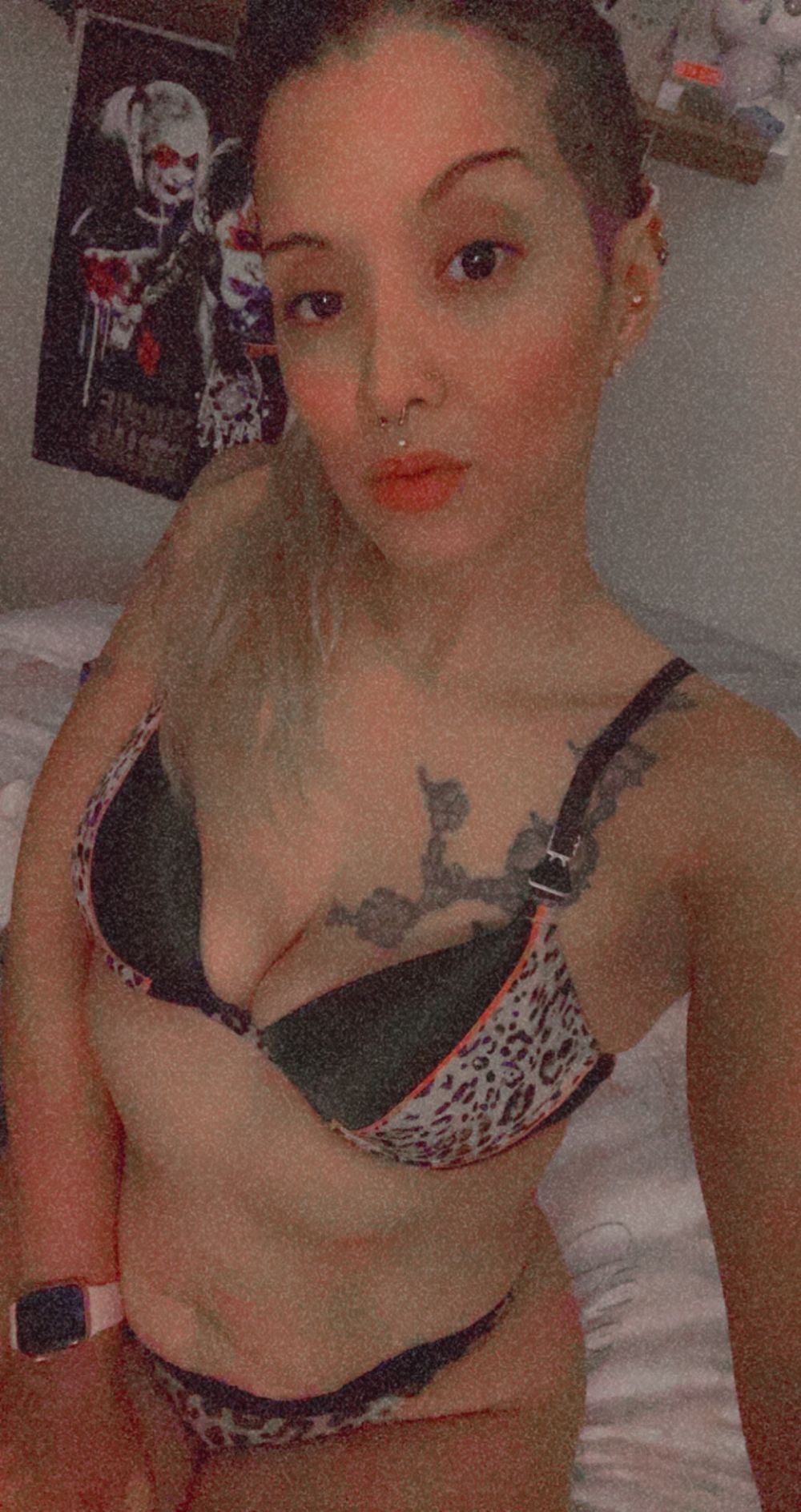 urfavecookie OnlyFans profile picture