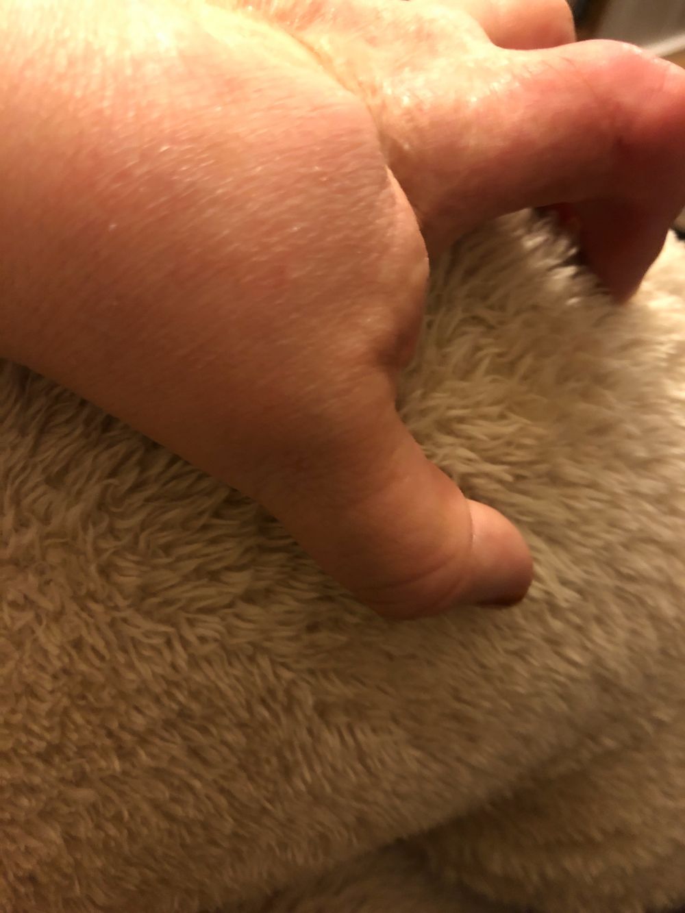mrsclaws OnlyFans profile picture