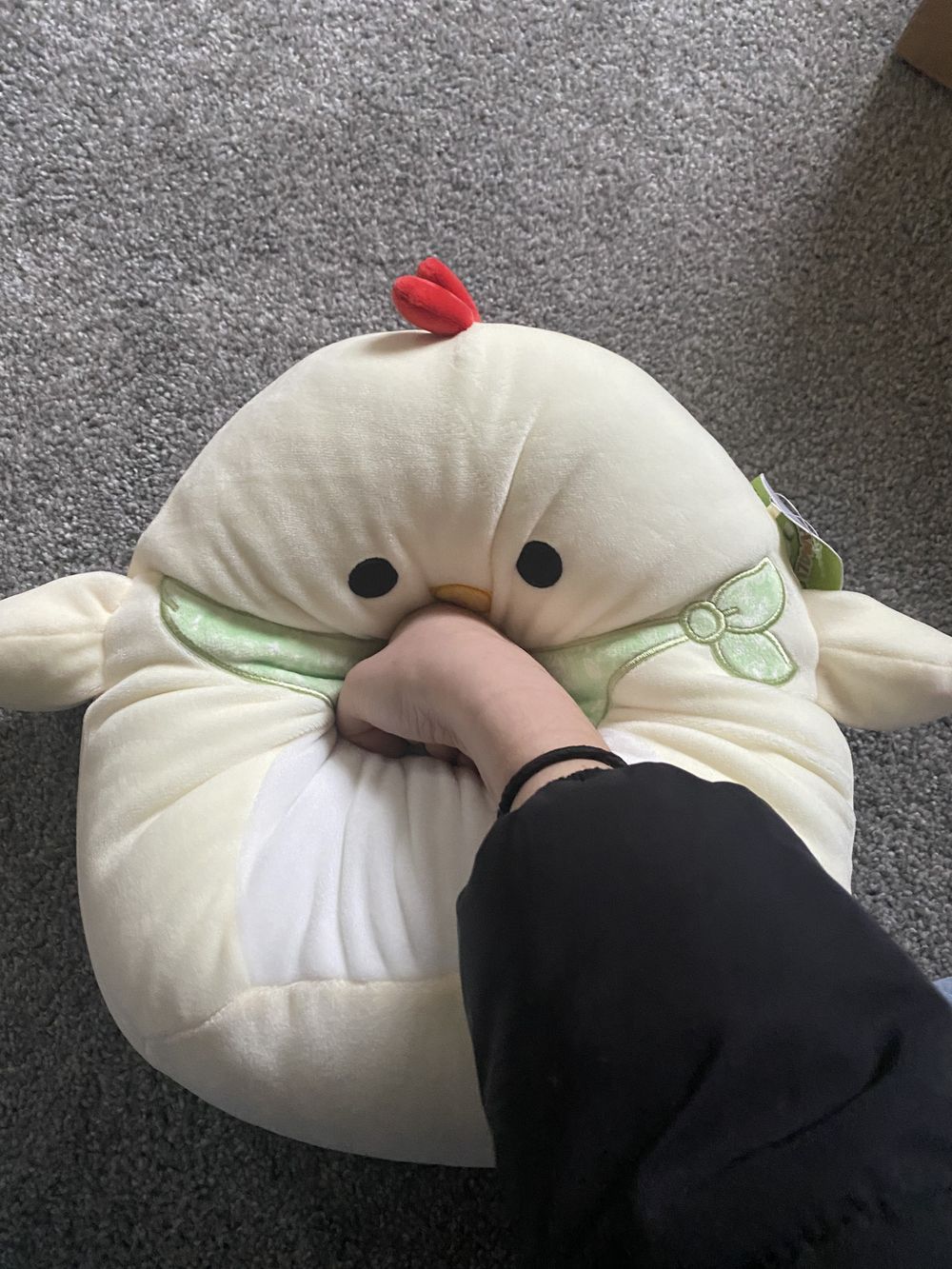 punchingsquish OnlyFans profile picture
