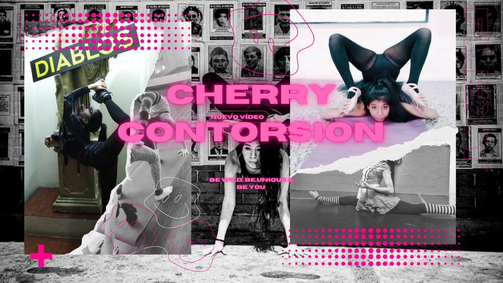 bunnycontorsion OnlyFans profile picture