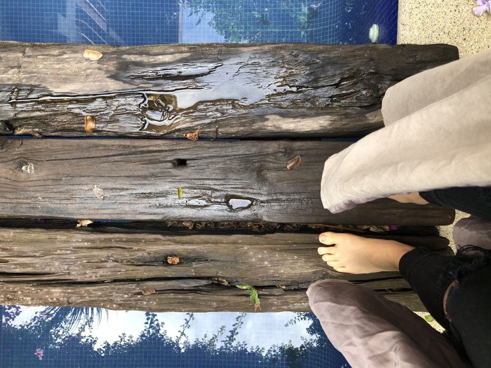 ohmyfeet4u OnlyFans profile picture