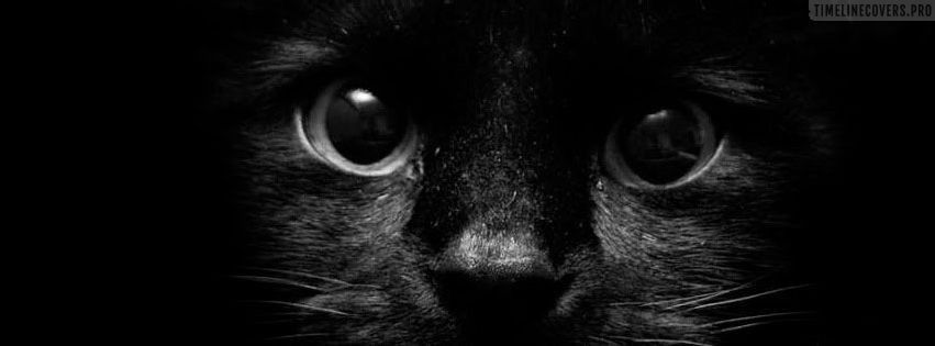 pettichic OnlyFans profile picture