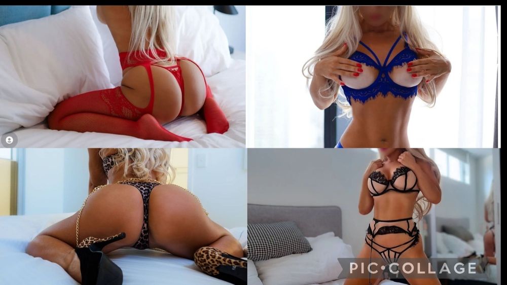 anielica OnlyFans profile picture