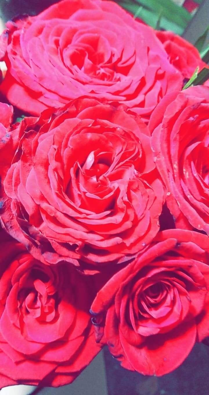 esmevar21 OnlyFans profile picture
